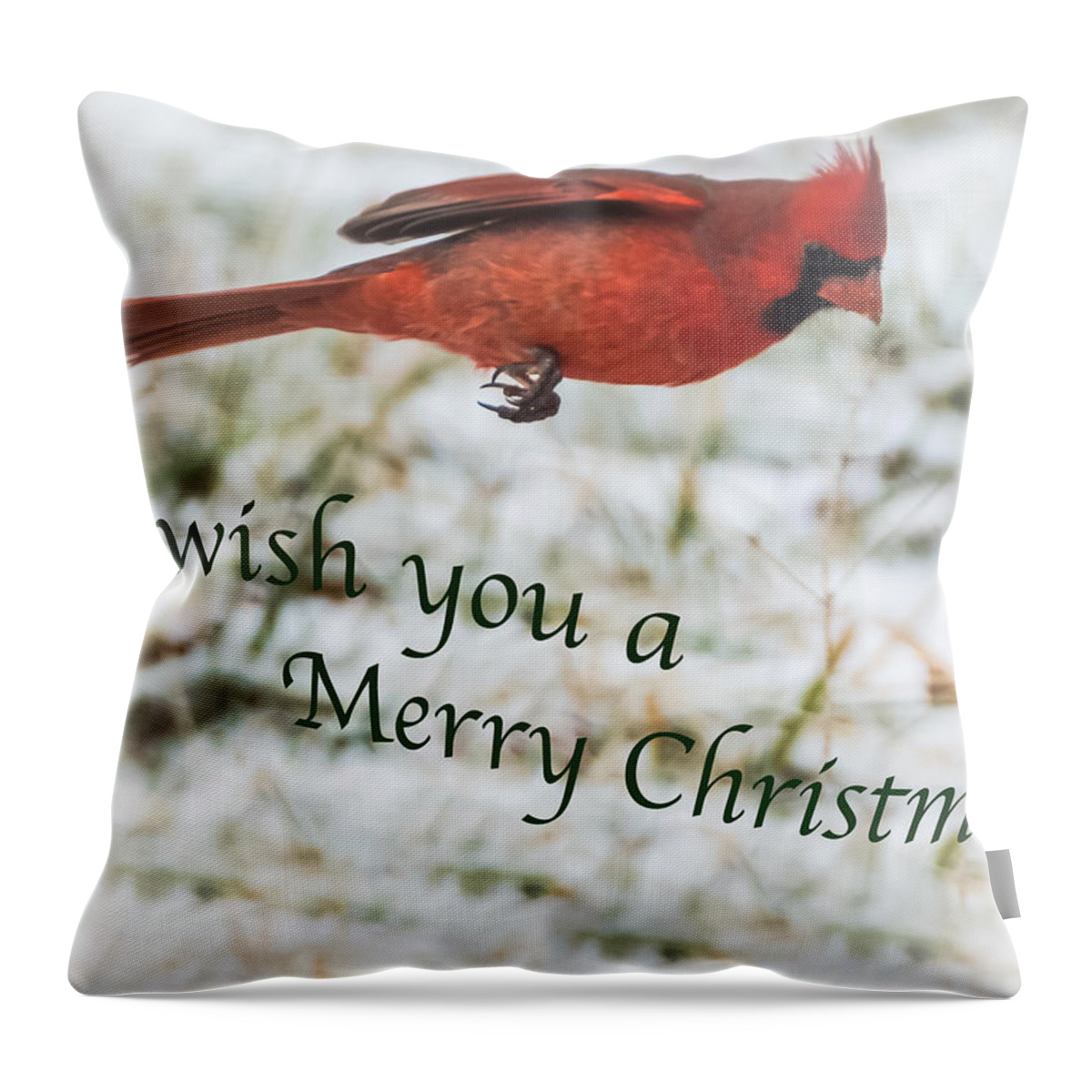 Cardinal Throw Pillow featuring the photograph Cardinal Christmas by Holden The Moment