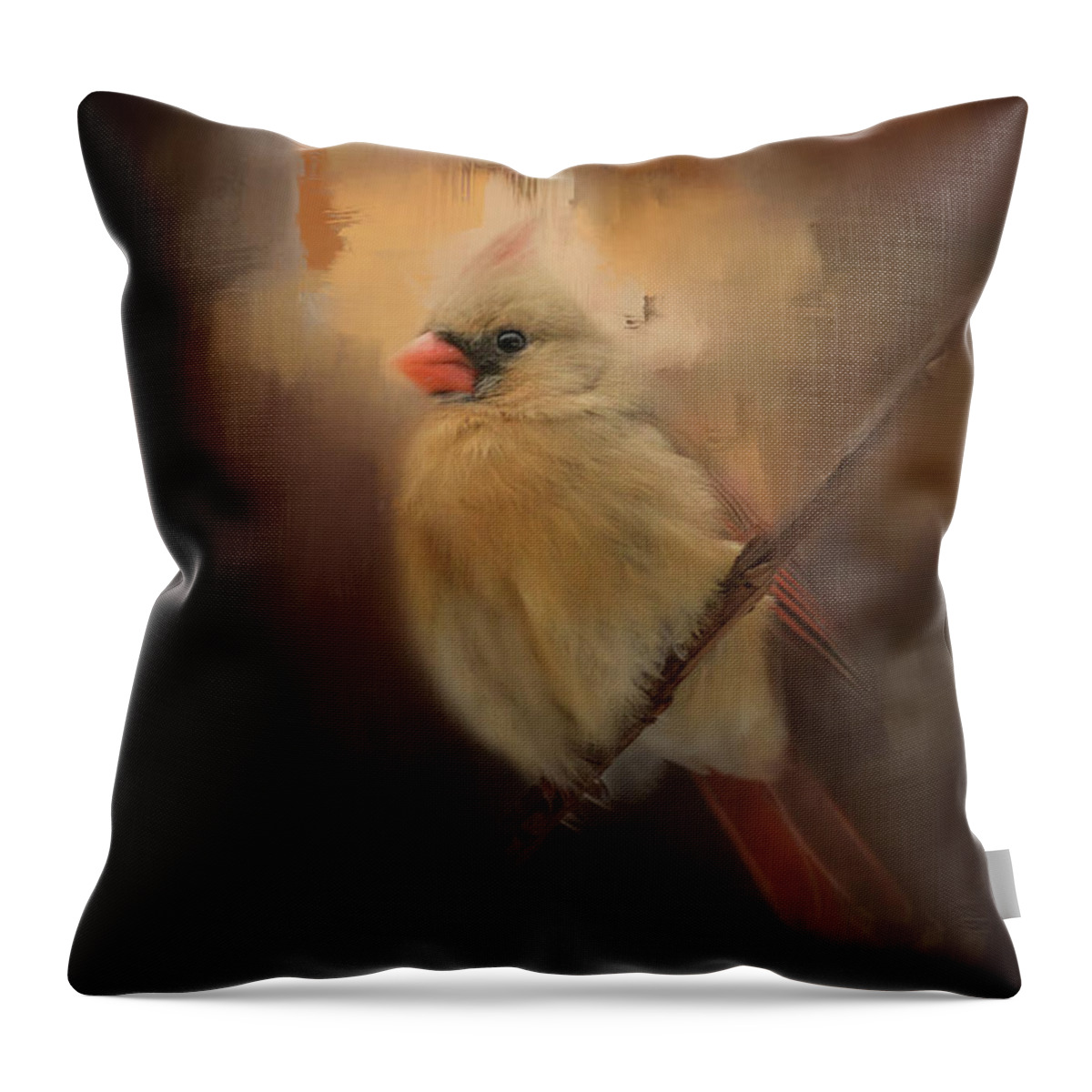 Jai Johnson Throw Pillow featuring the photograph Cardinal In The Evening Light Bird Art by Jai Johnson