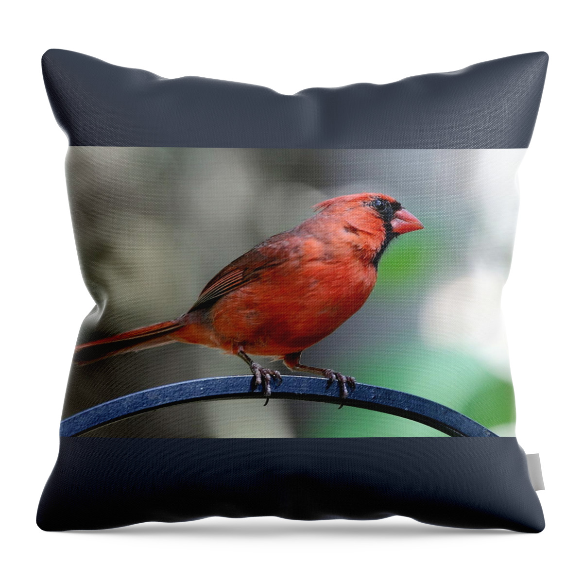 Nature Throw Pillow featuring the photograph Cardinal Profile by David Rosenthal