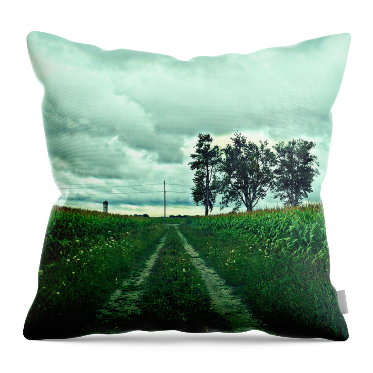 Caressing The Corn Path Throw Pillow featuring the photograph Caressing The Corn Path by Cyryn Fyrcyd