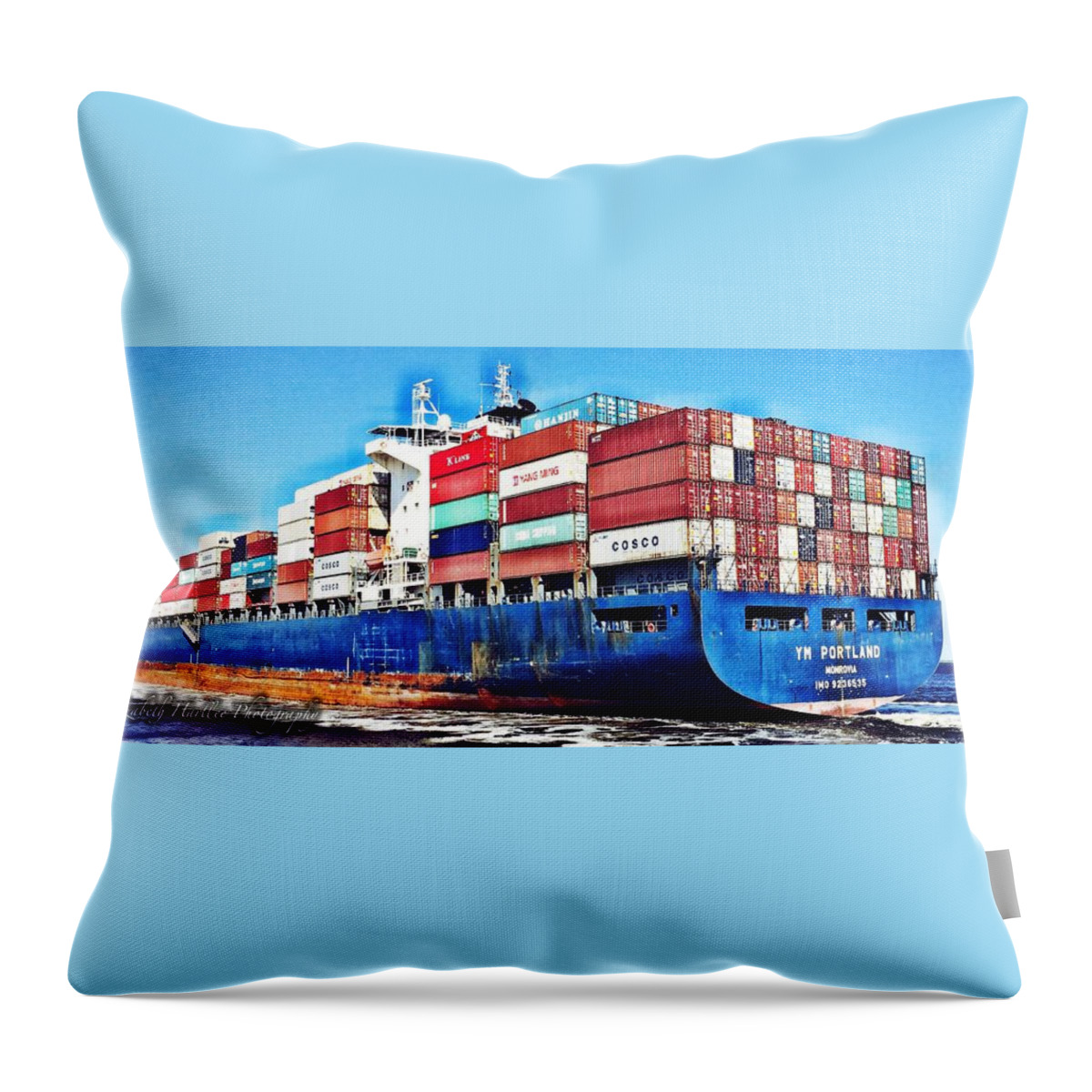  Throw Pillow featuring the photograph Cargo by Elizabeth Harllee