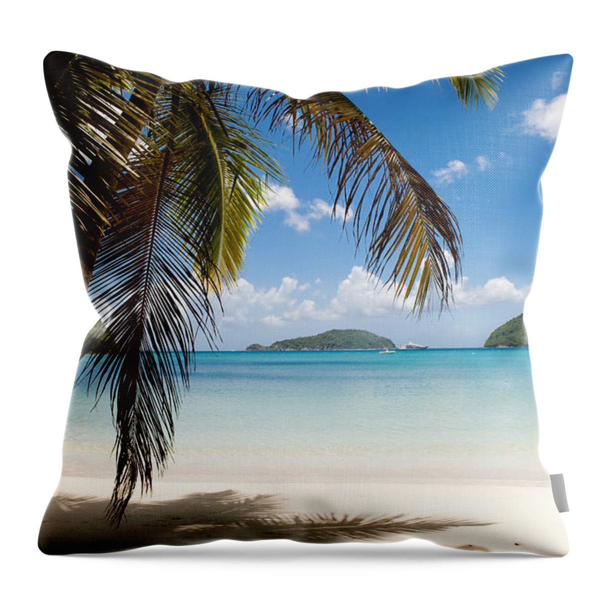 Beach Throw Pillow featuring the photograph Caribbean Afternoon by Greg Wyatt