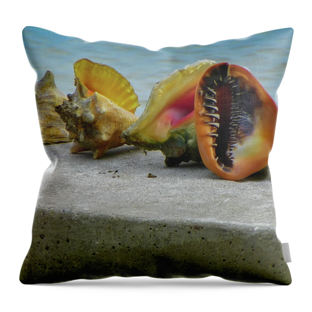 Conch Shells Throw Pillow featuring the photograph Caribbean Charisma by Karen Wiles
