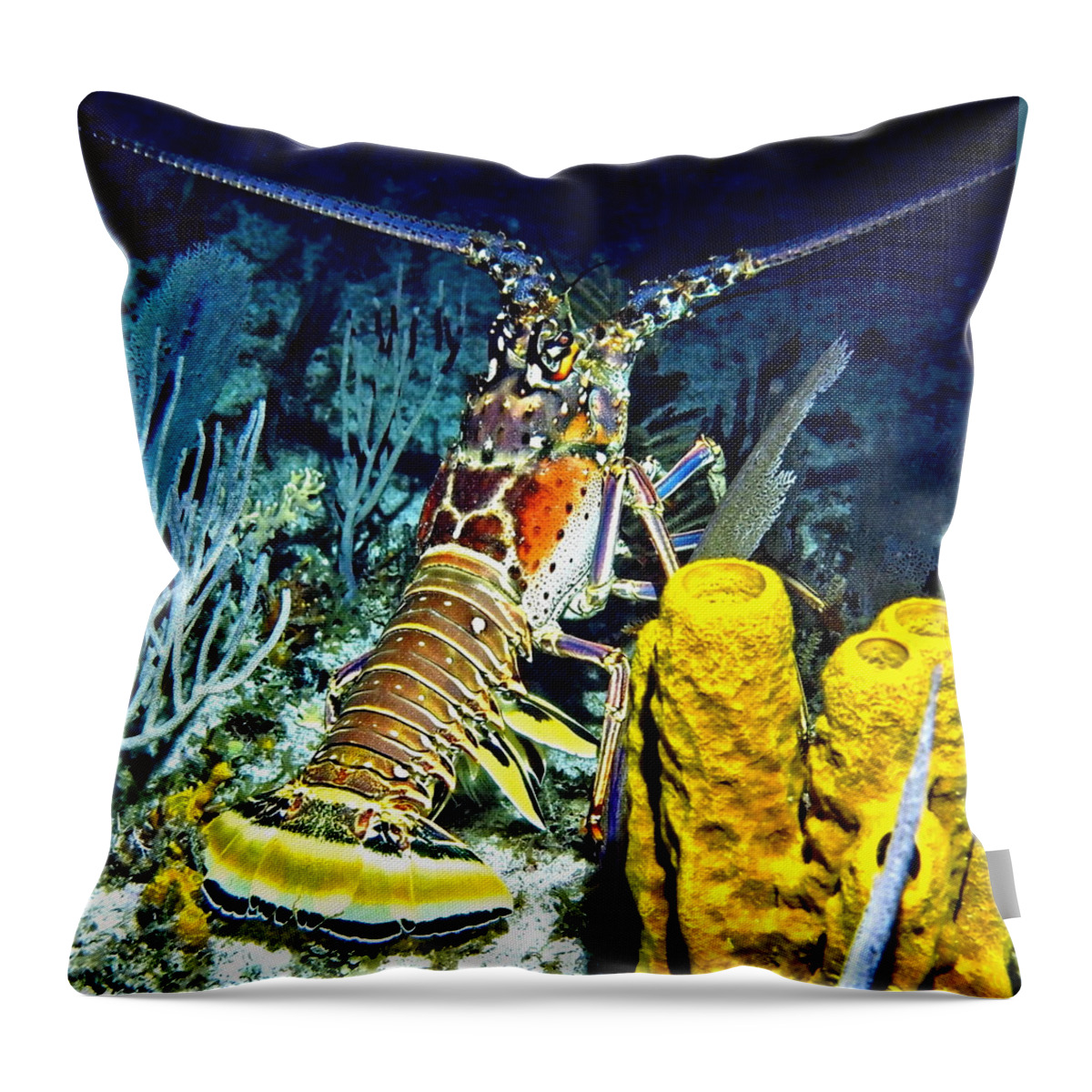 Ocean Throw Pillow featuring the photograph Caribbean Reef Lobster by Amy McDaniel