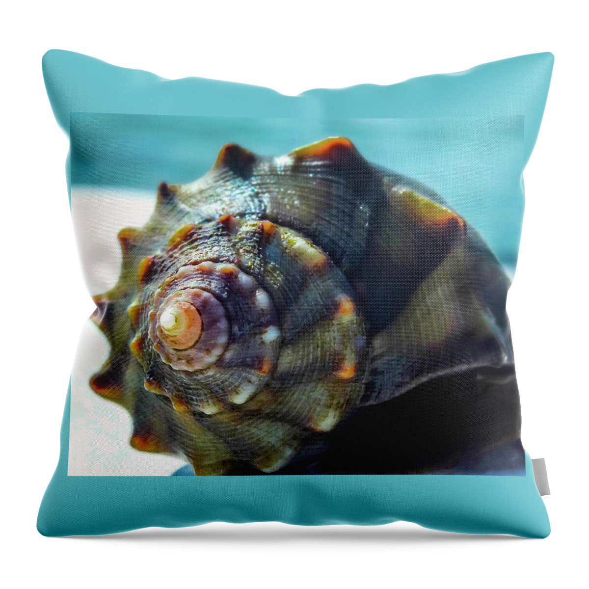 Caribbean Seashells Throw Pillow featuring the photograph Caribbean Treasure by Karen Wiles