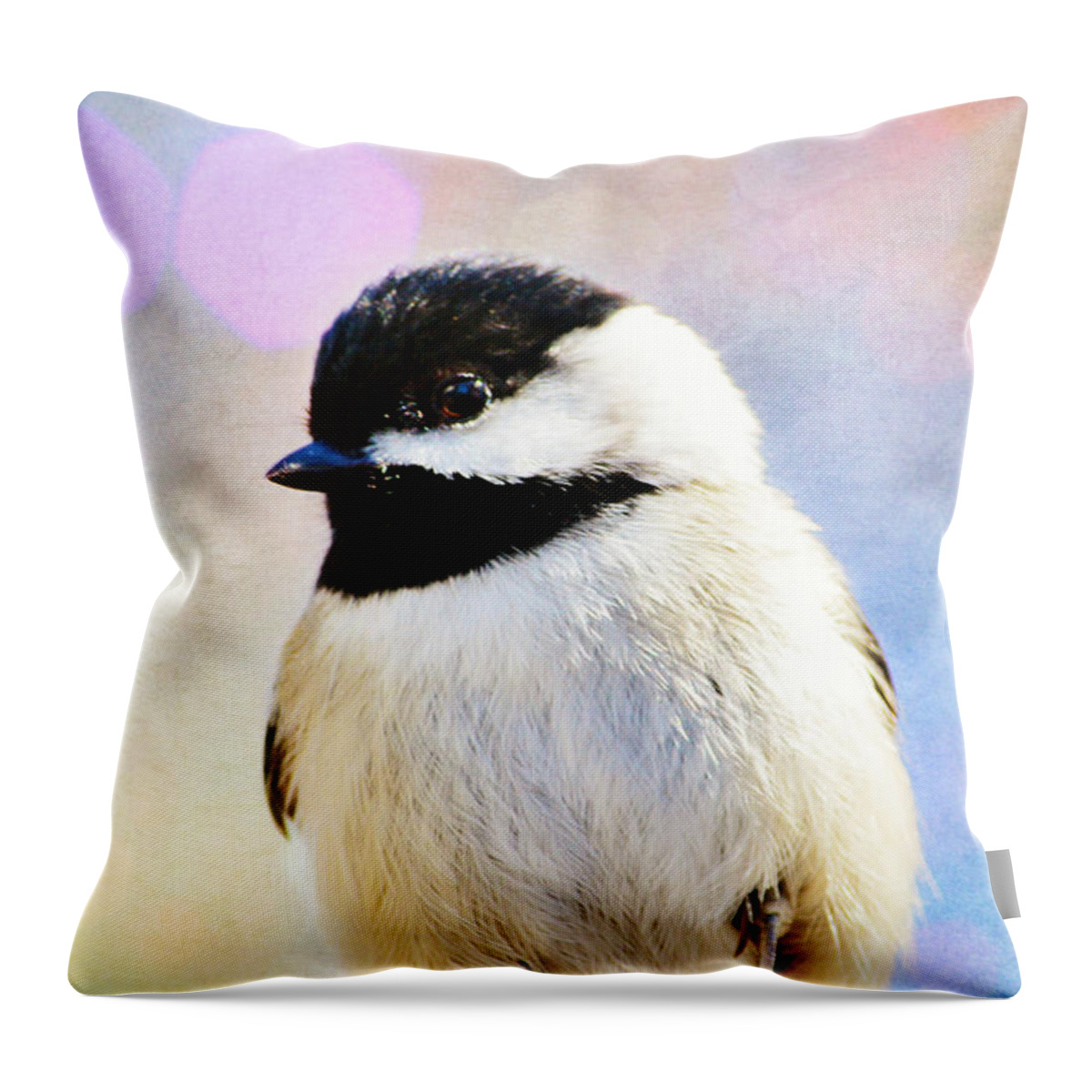 Bird Throw Pillow featuring the photograph Carolina Chickadee by Kelly Nowak