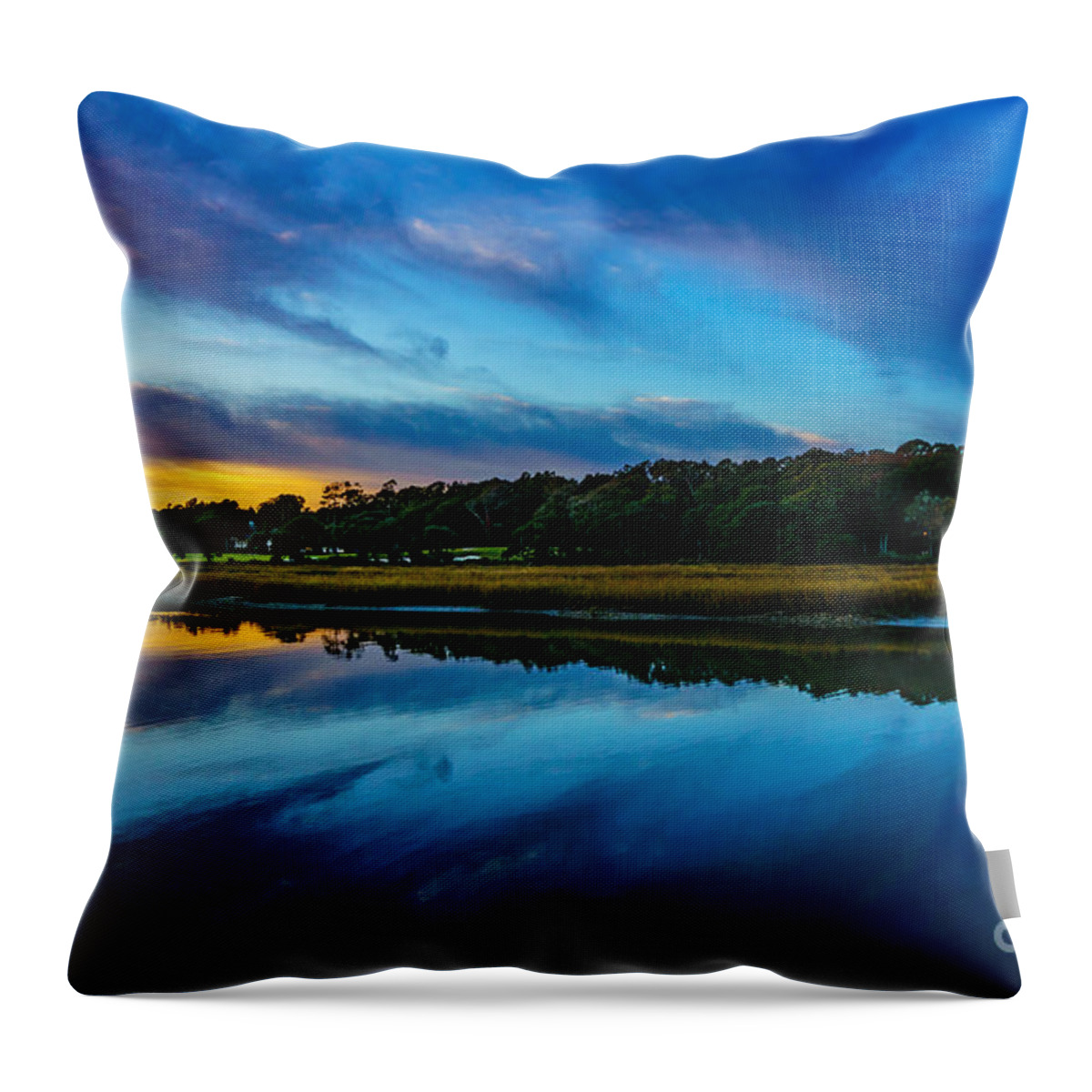 Myrtle Beach Days Collection Throw Pillow featuring the photograph Carolina by David Smith