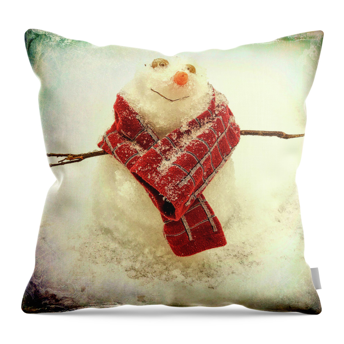 Snowman Throw Pillow featuring the photograph Carolina Snowman by Patricia Schaefer