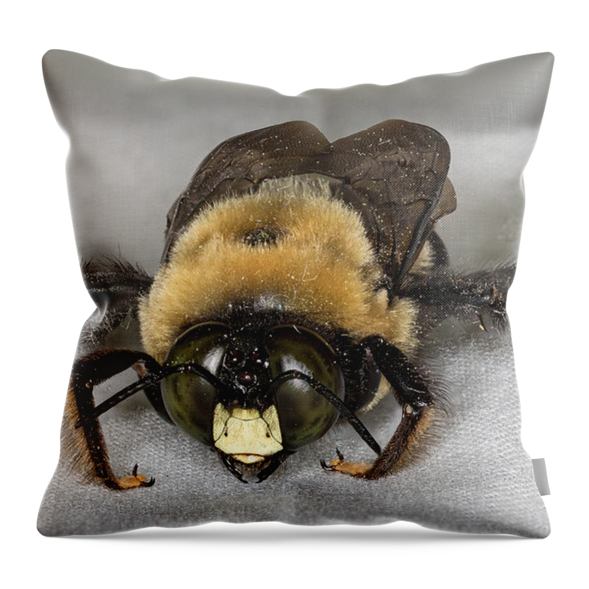 Nature Throw Pillow featuring the photograph Carpenter Bee by Lee Alloway
