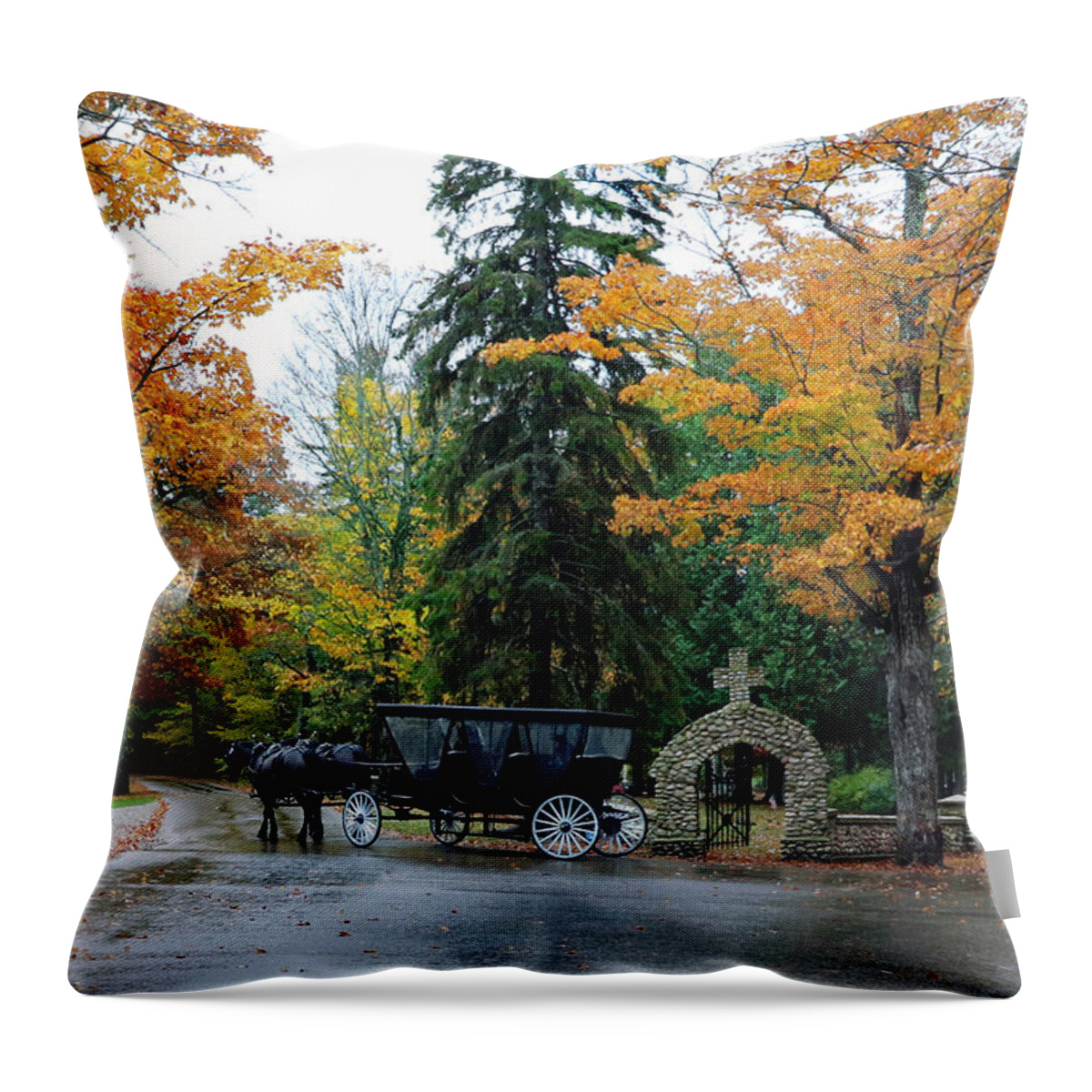 Mackinac Island Throw Pillow featuring the photograph Carriage Ride by Jackson Pearson