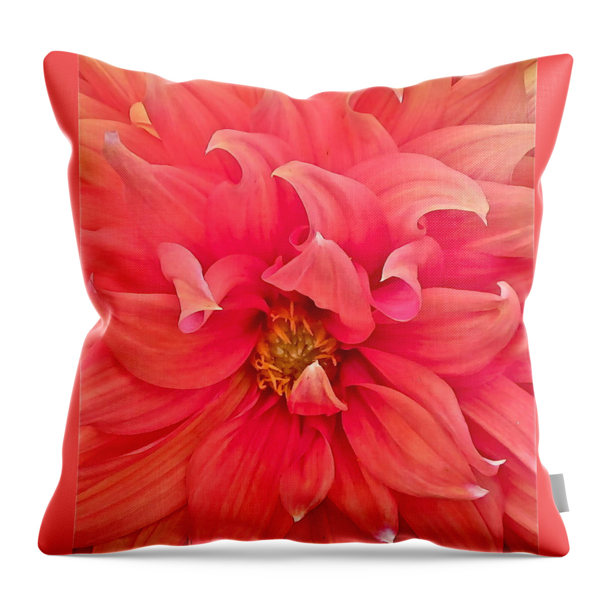 Photograph Of Dahlia Throw Pillow featuring the photograph Carrie's Sister by Gwyn Newcombe