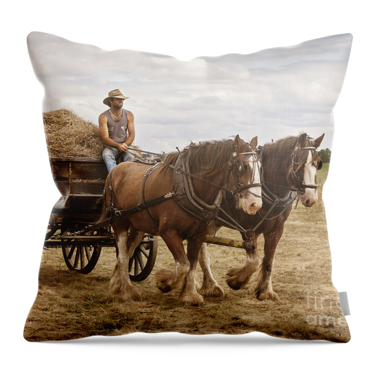 Horse Throw Pillow featuring the photograph Carting Hay by Linda Lees