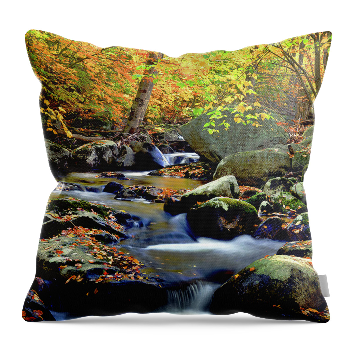 Adirondack Landscape Throw Pillow featuring the photograph Cascade Brook by Frank Houck