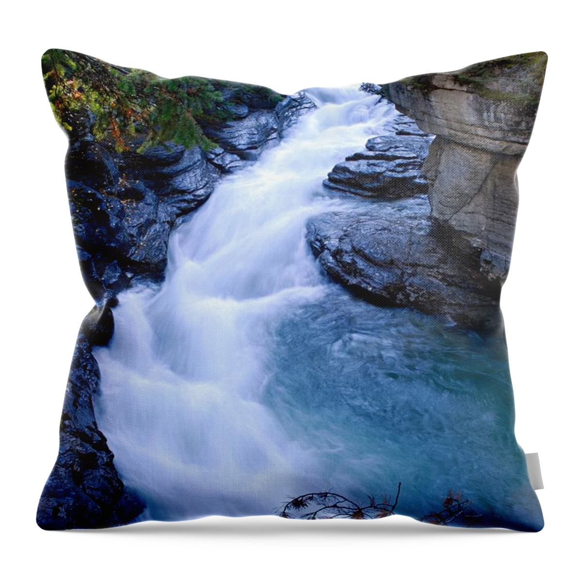 Maligne Canyon Throw Pillow featuring the photograph Cascade in the Maligne Canyon by Larry Ricker