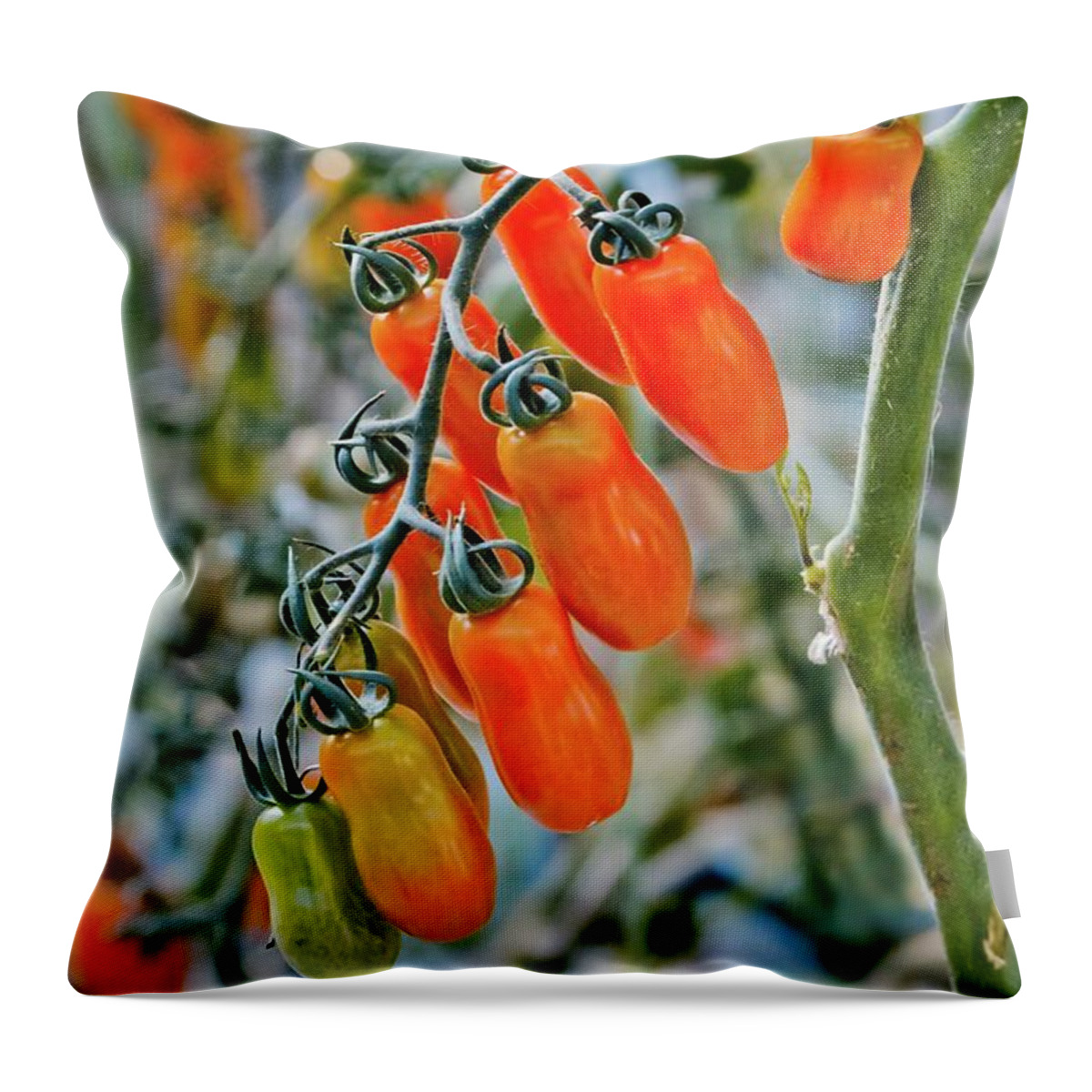 Tomatoes Throw Pillow featuring the photograph Cascading Color by Linda Unger