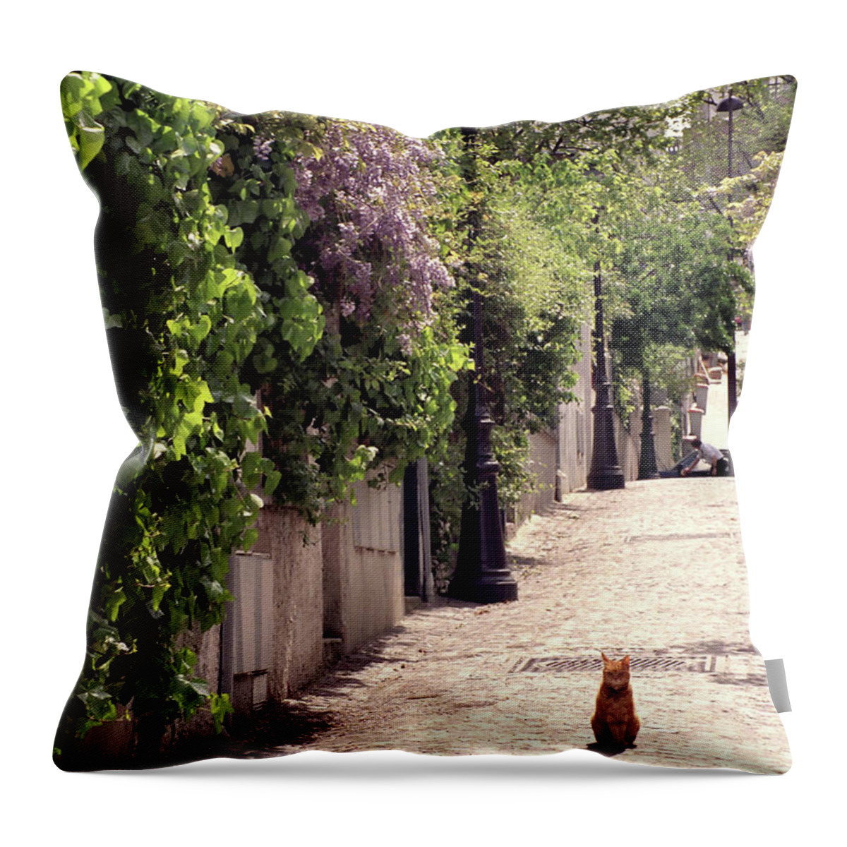 Paris Throw Pillow featuring the photograph Cat on Cobblestone by Frank DiMarco