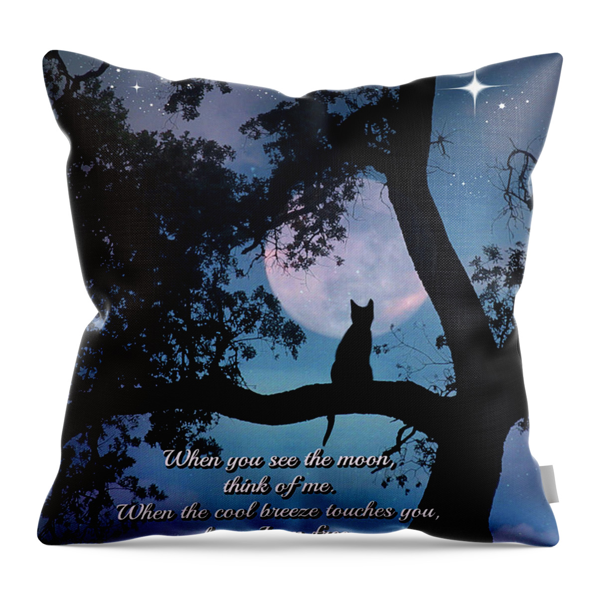 Cat Throw Pillow featuring the photograph Cat Poem and Memorial by Stephanie Laird
