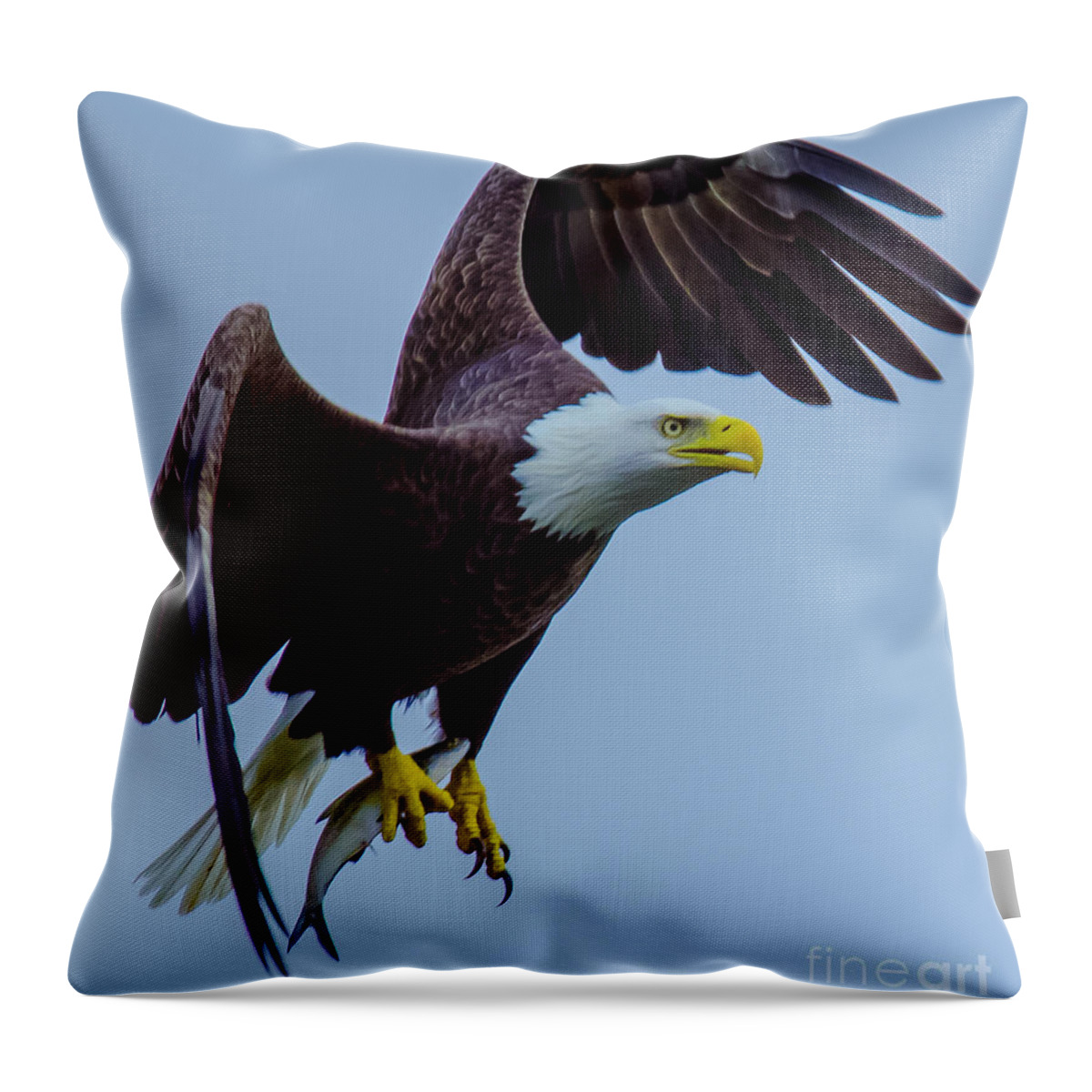11nov15 Throw Pillow featuring the photograph Catch of the Day by Jeff at JSJ Photography