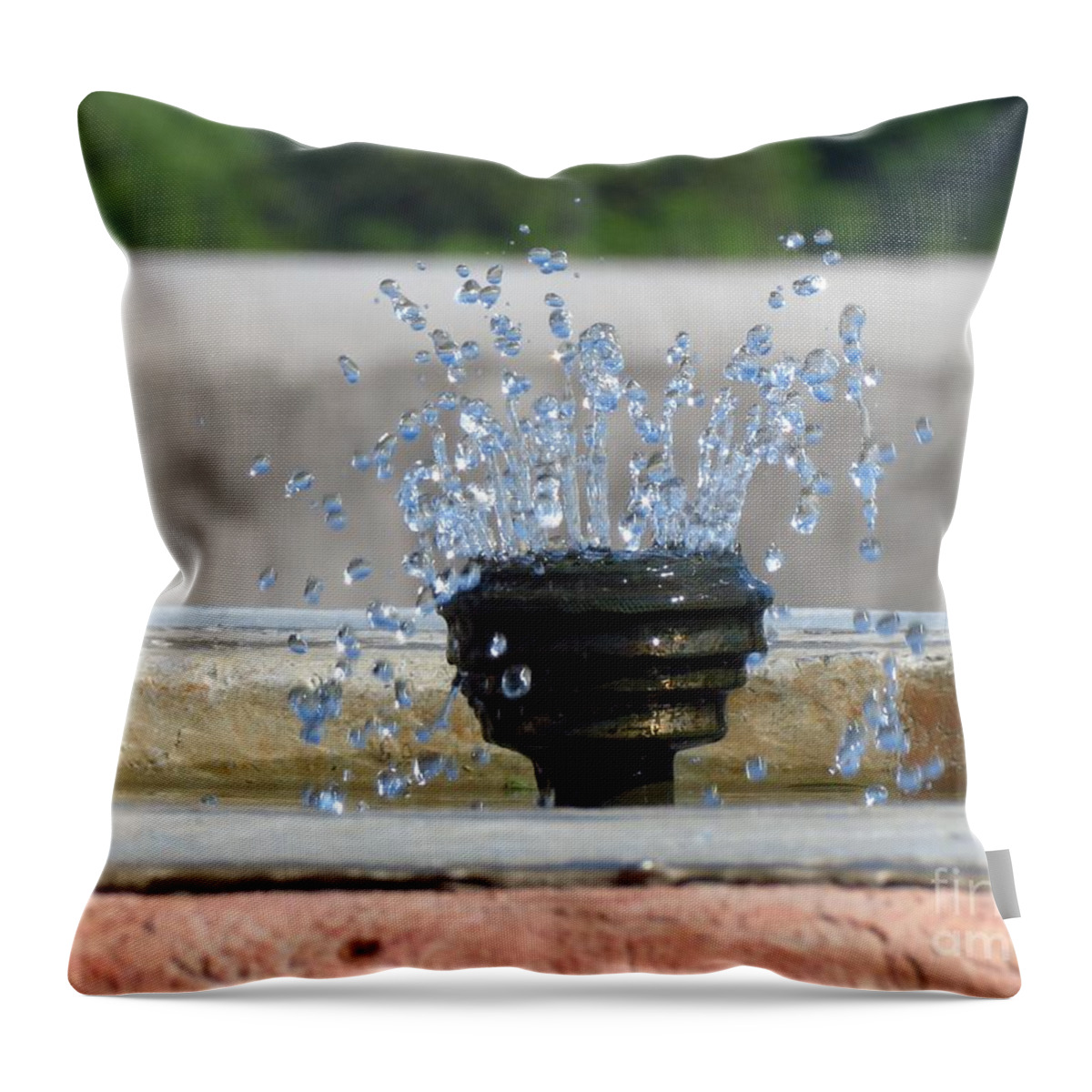Water Droplets Throw Pillow featuring the photograph Catching Water by Anita Adams