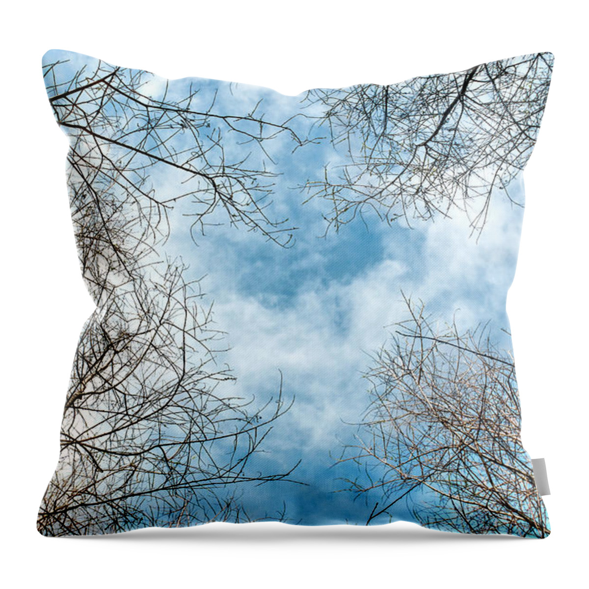 Art Card Throw Pillow featuring the photograph Cathedral by Dean Birinyi