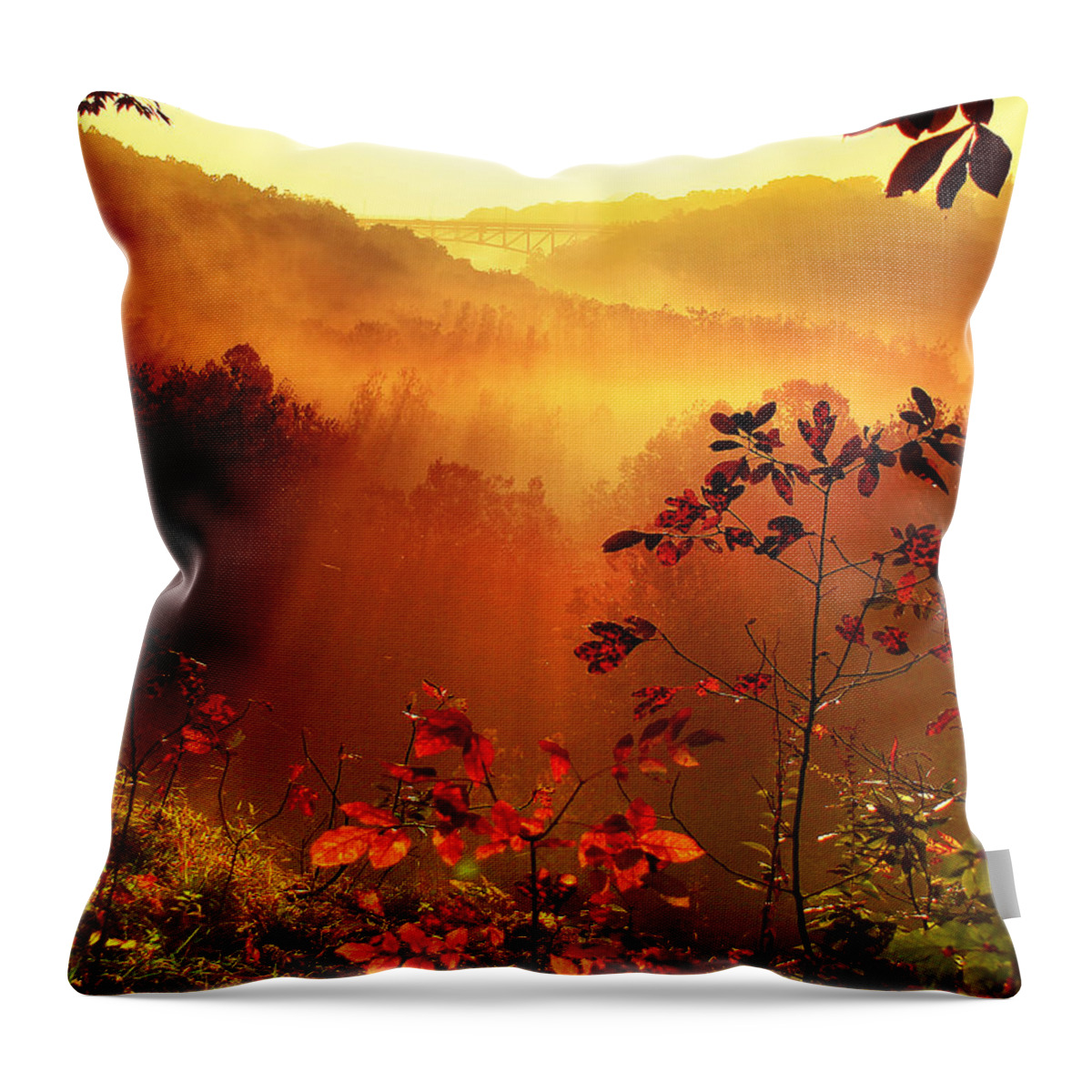 Sunrise Throw Pillow featuring the photograph Cathedral of Light - Special Crop by Rob Blair