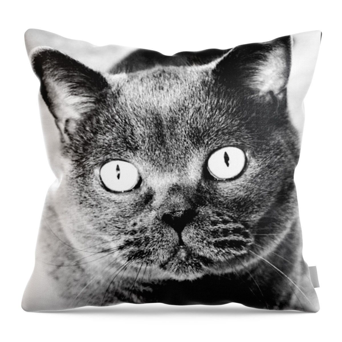 Cat Throw Pillow featuring the photograph Cat's Eyes in Black and White by Nina-Rosa Dudy