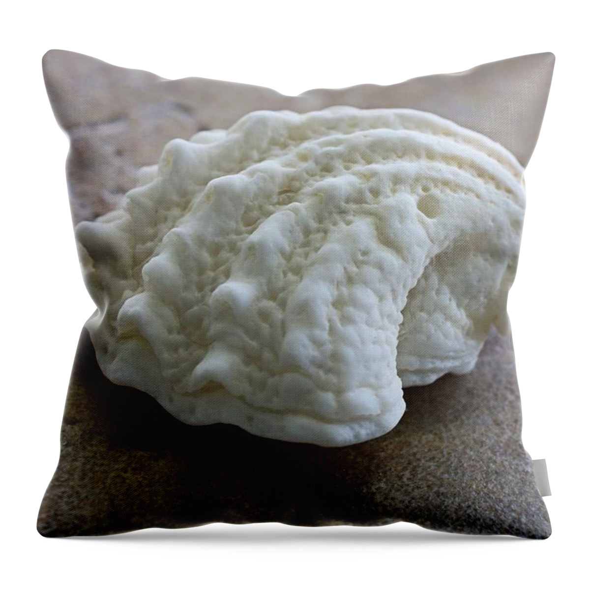 Sea Shell Throw Pillow featuring the photograph Cat's Paw by Michiale Schneider