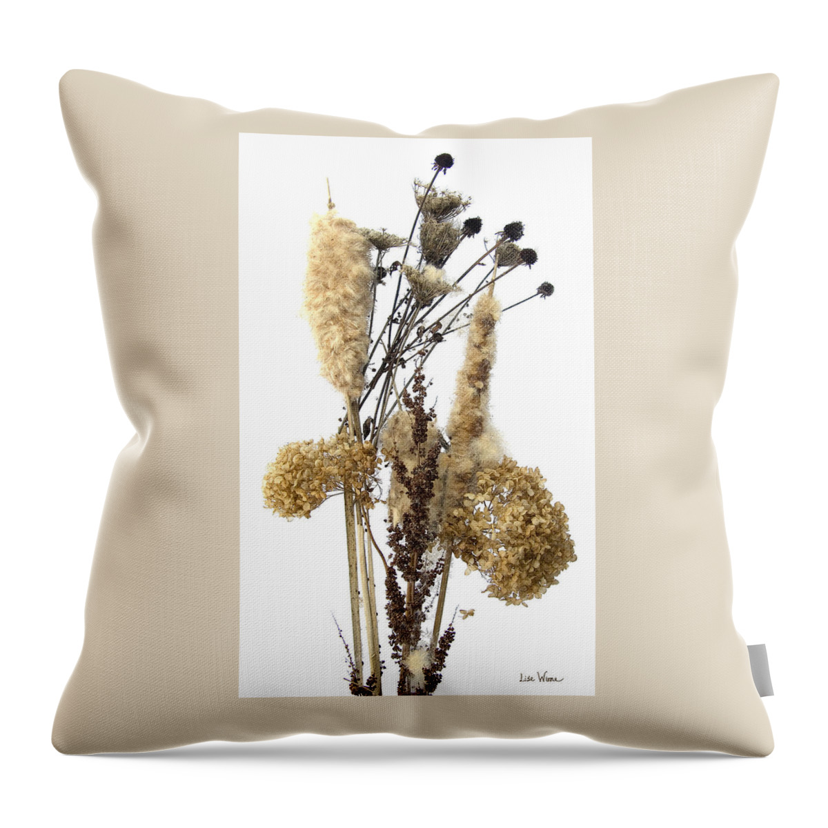 Lise Winne Throw Pillow featuring the digital art Cattails and November Flowers II by Lise Winne