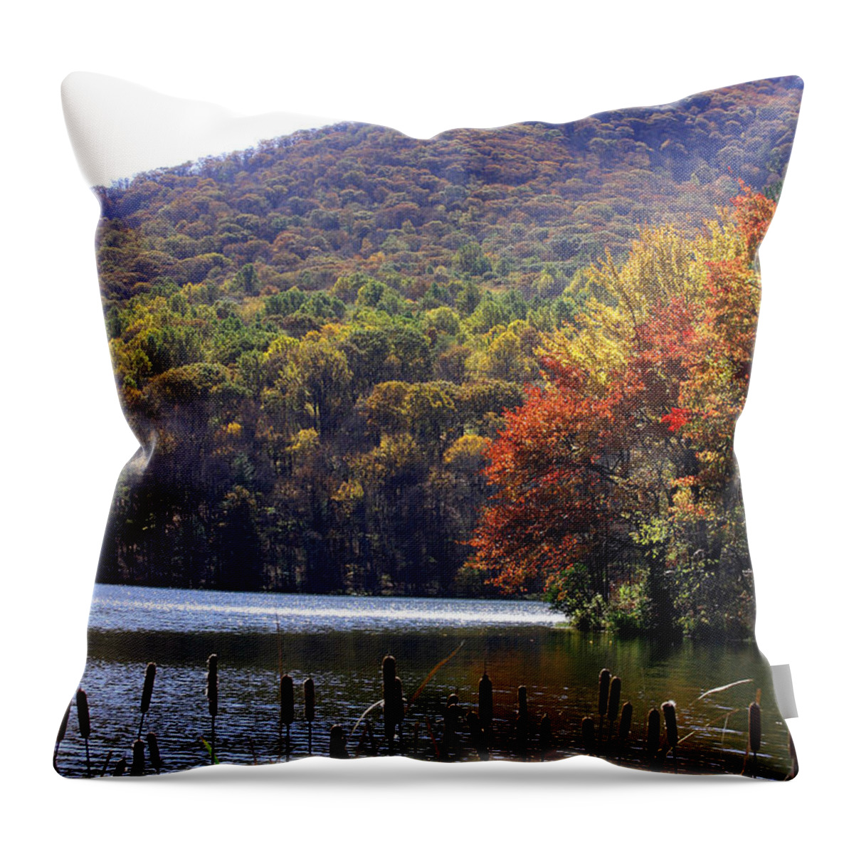 Cattail Throw Pillow featuring the photograph Cattails by lake with Sharp Top in background by Emanuel Tanjala