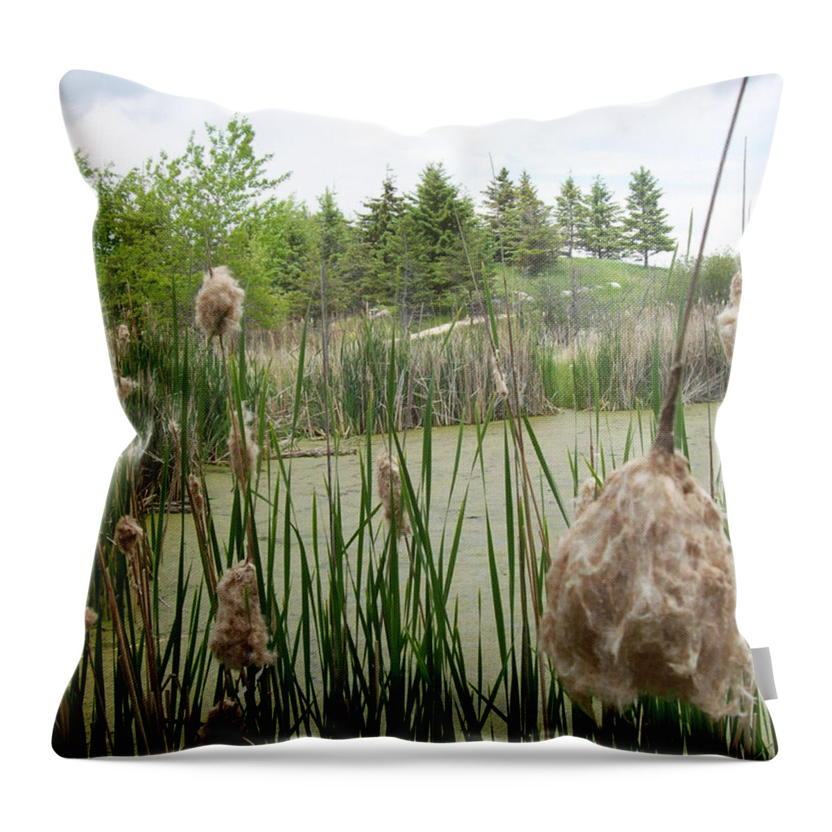 Wetlands Throw Pillow featuring the photograph Cattails by Mary Mikawoz