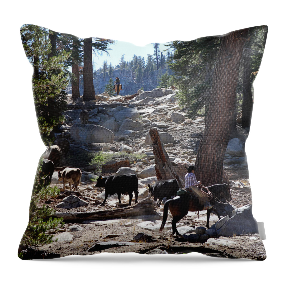 Cattle Throw Pillow featuring the photograph Cattle Climbing by Diane Bohna