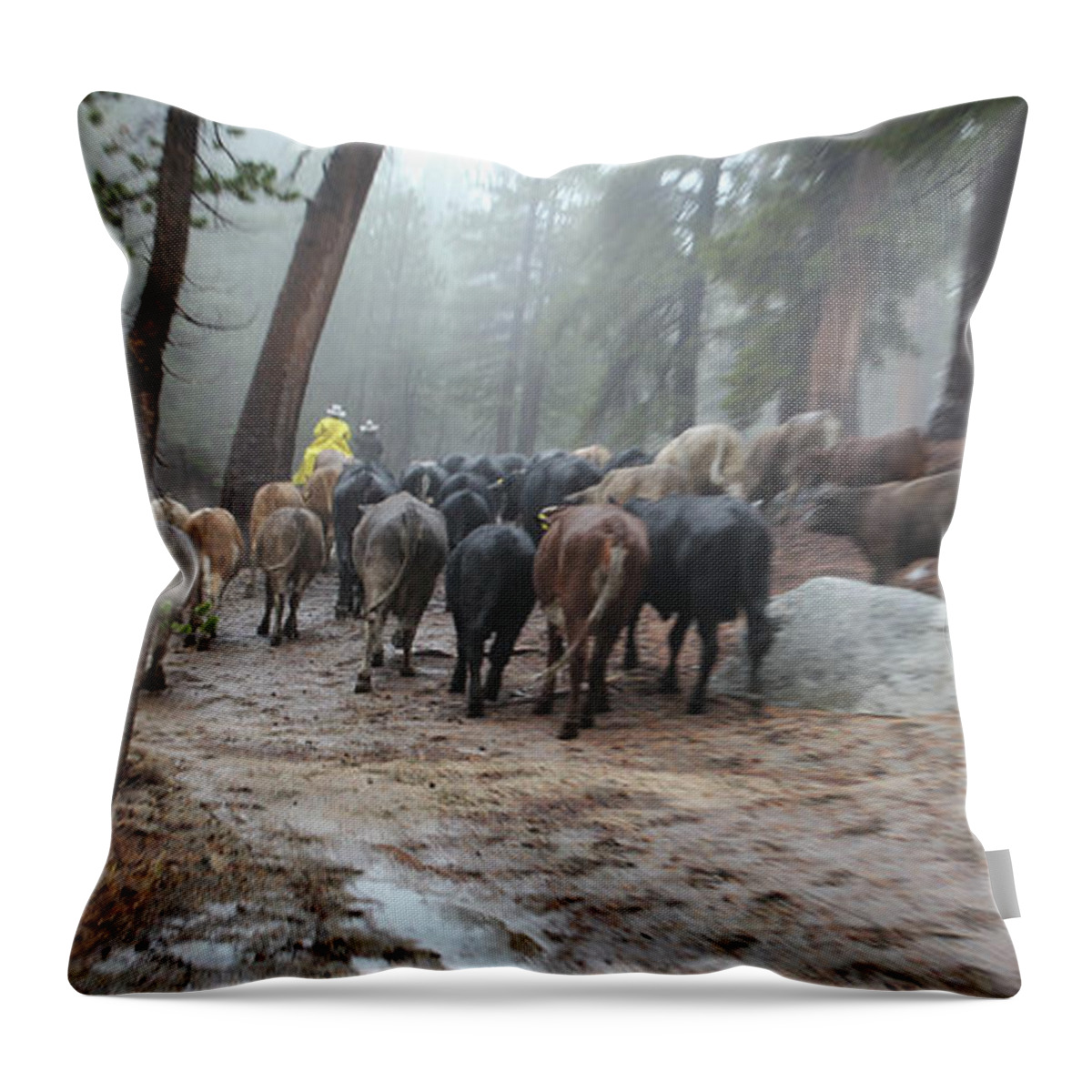 Cattle Throw Pillow featuring the photograph Cattle Moving by Diane Bohna