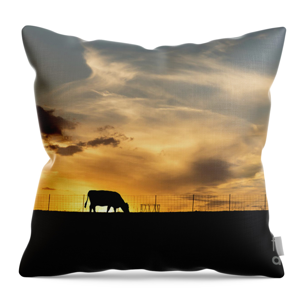 Cow Throw Pillow featuring the photograph Cattle Sunset Silhouette by Jennifer White