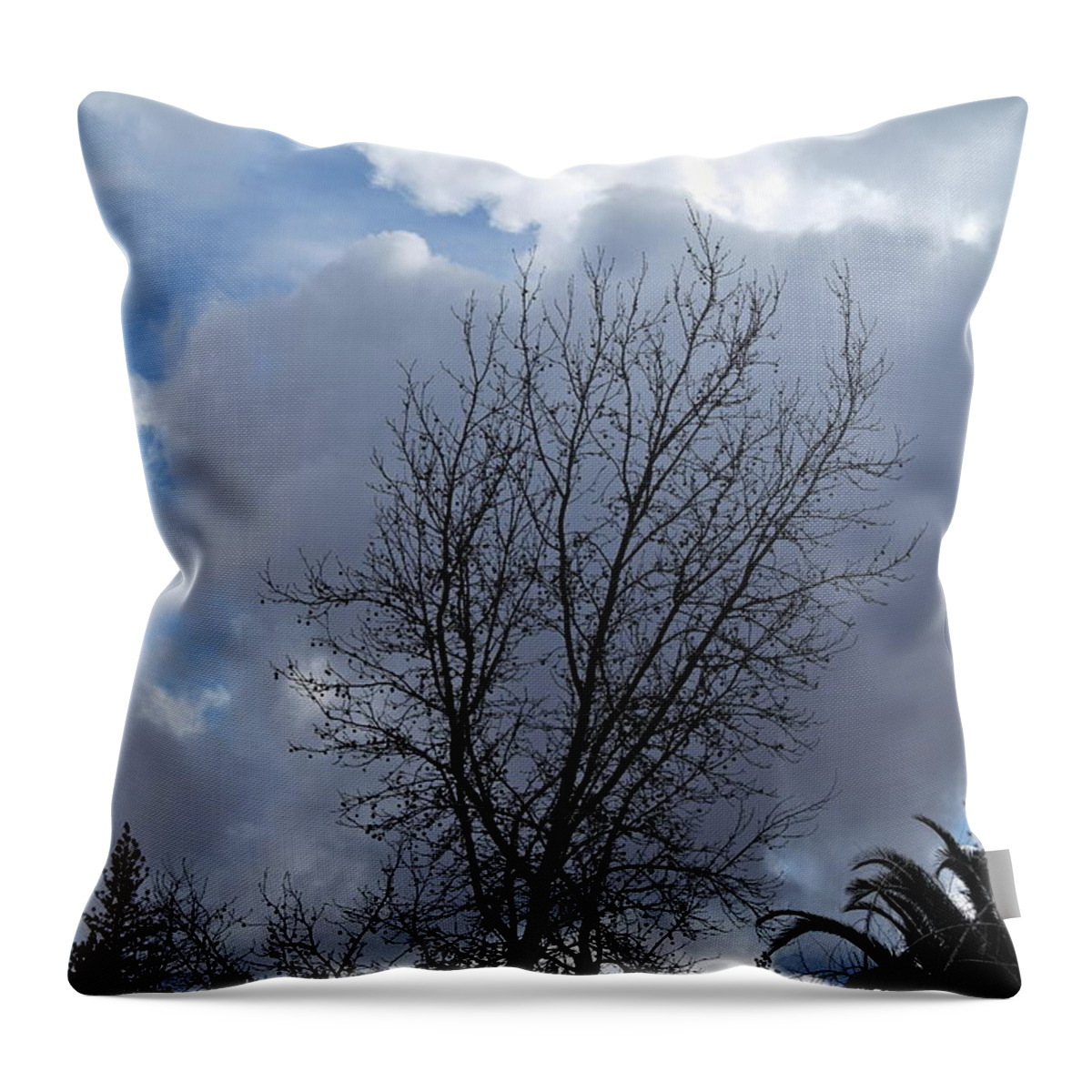 Landscape Throw Pillow featuring the photograph Caught Between the Storms by Michele Myers