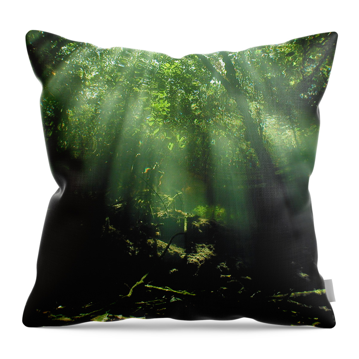 Scuba Throw Pillow featuring the photograph Cave Diving in Mexico by Alexandra Till