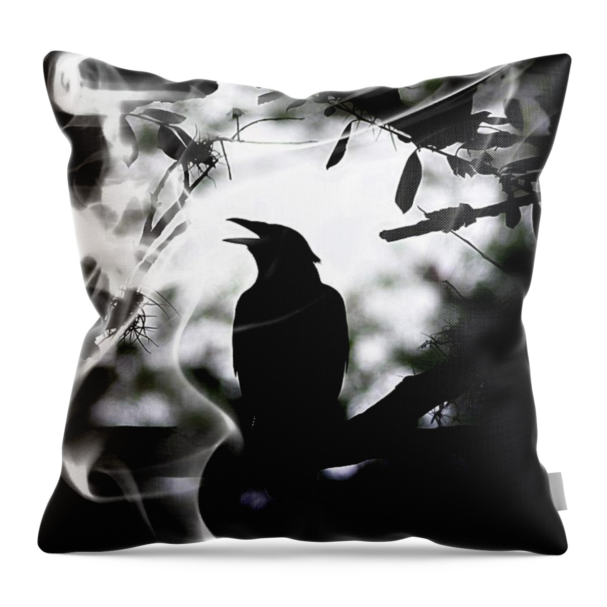 Crow Throw Pillow featuring the photograph Caw by Stoney Lawrentz