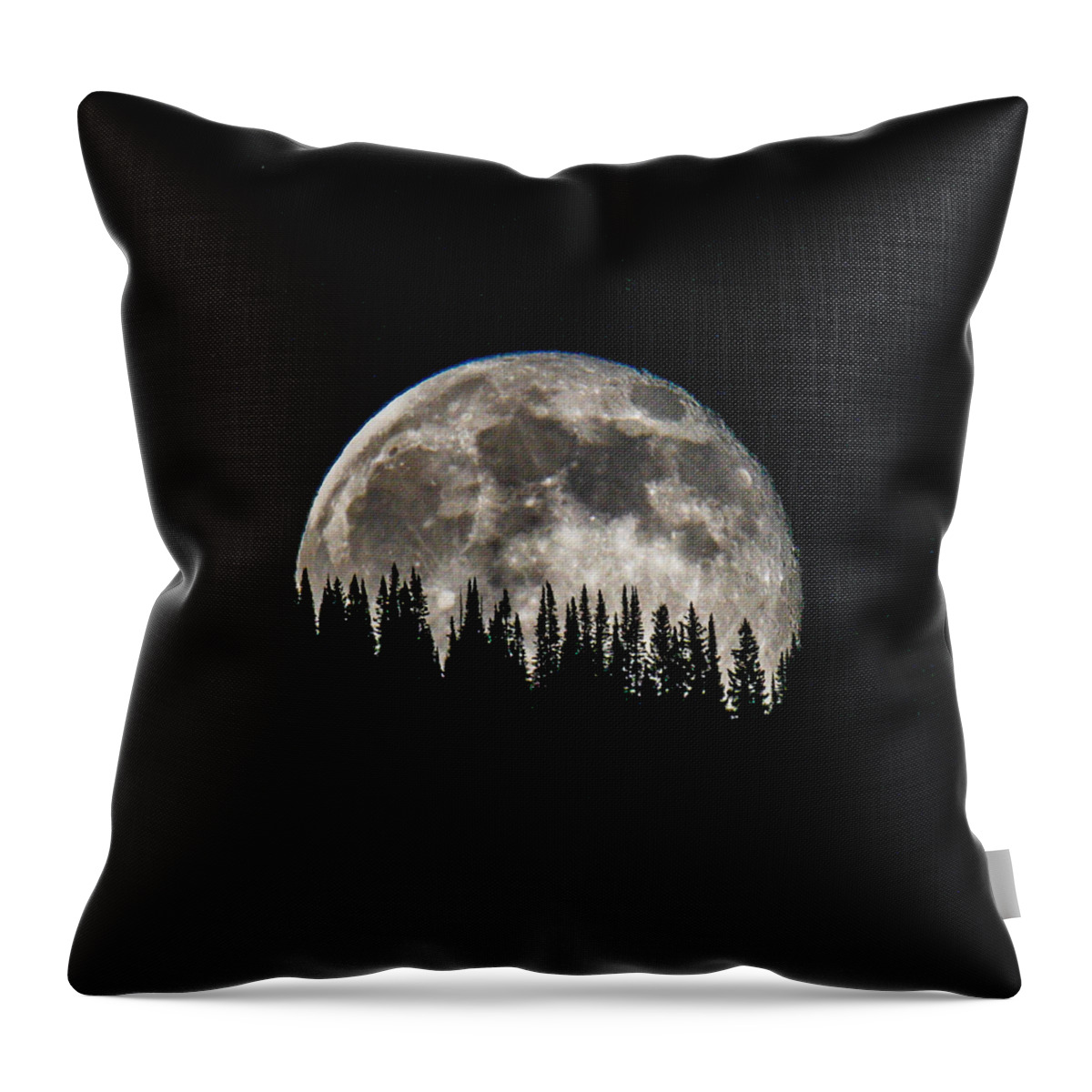 Fox Throw Pillow featuring the photograph Cb 4 by Kevin Dietrich