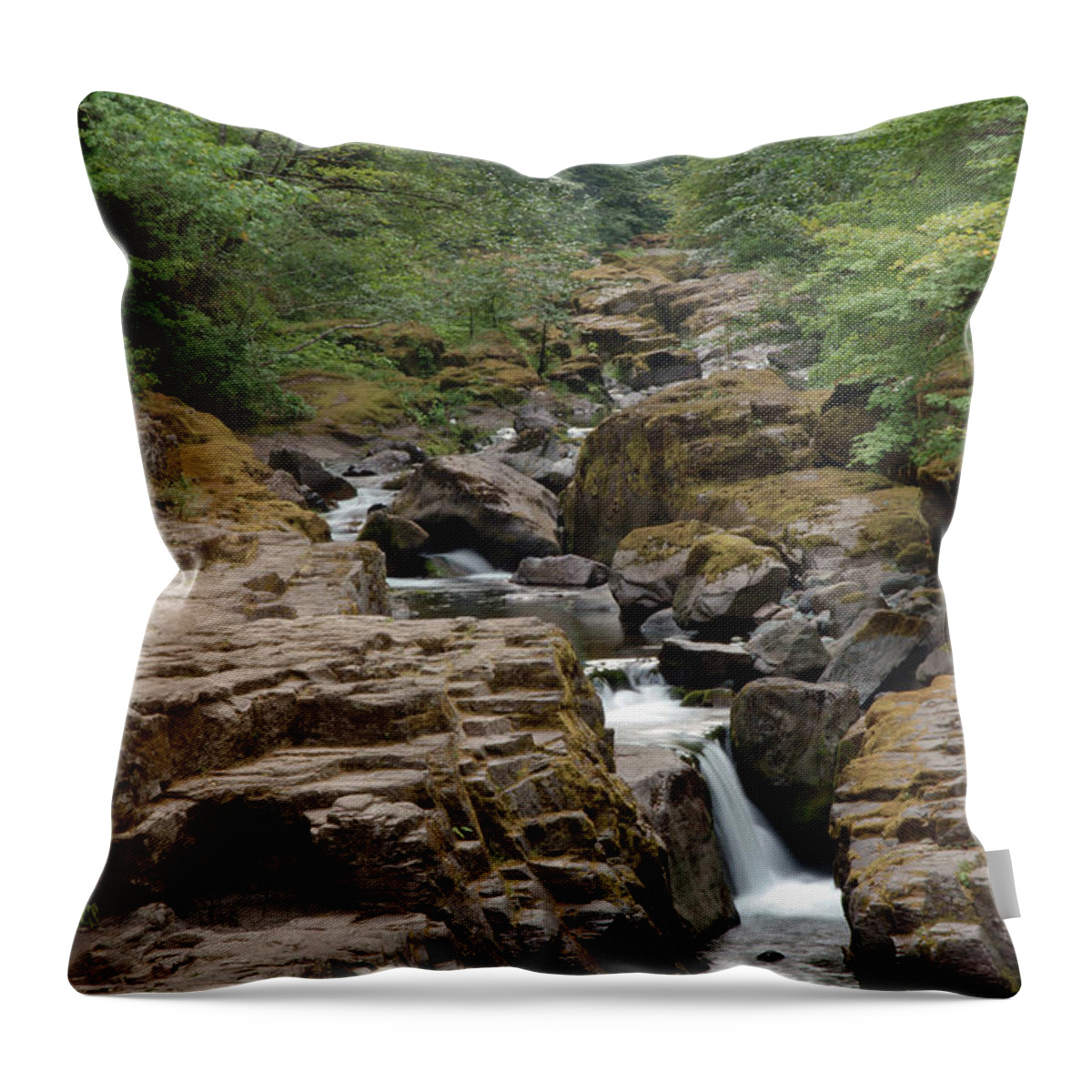 Nature Throw Pillow featuring the photograph Cedar Creek #2 by Ben Upham III