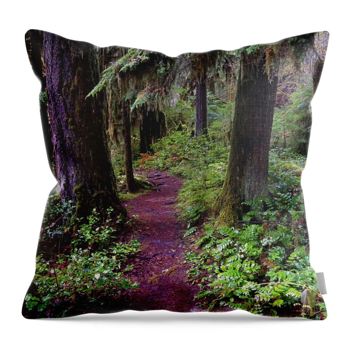 Nature Throw Pillow featuring the photograph Cedar Creek Trail #3 by Ben Upham III