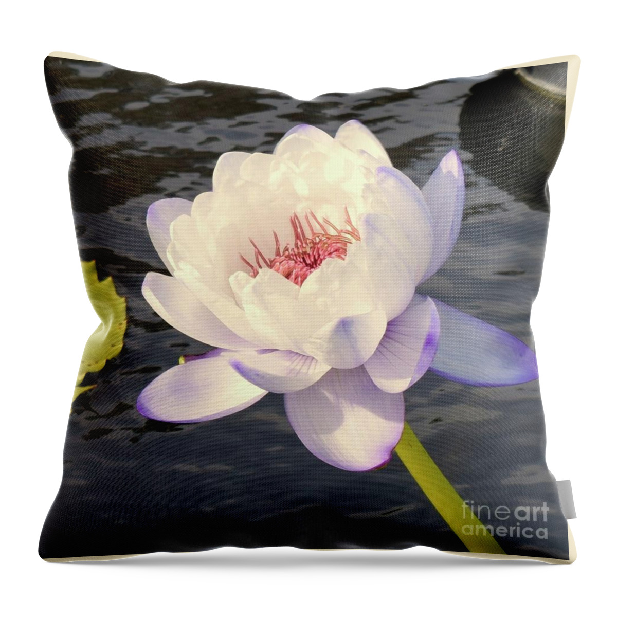Barrieloustark Throw Pillow featuring the photograph Celebration of the Lotus by Barrie Stark