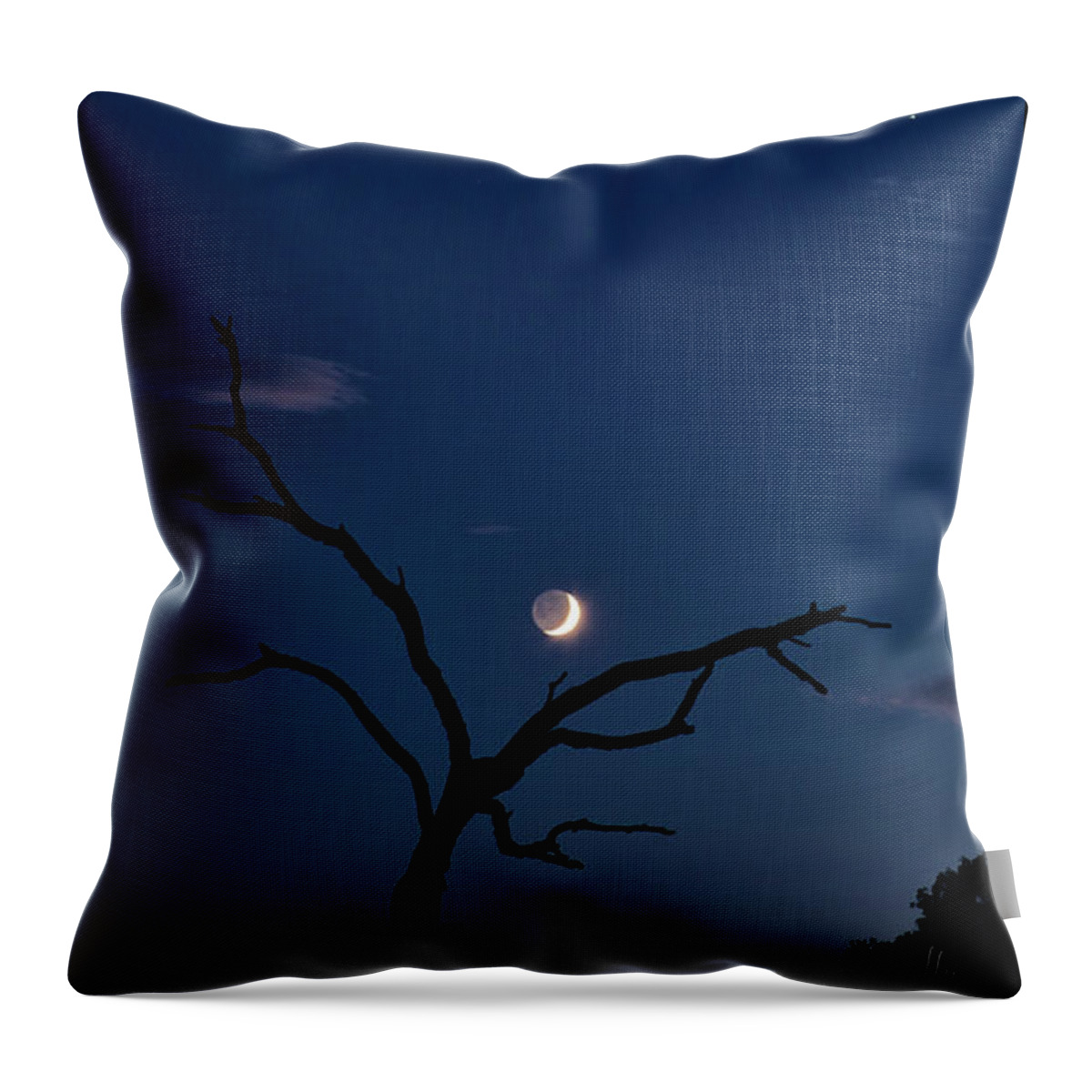 Celestial Throw Pillow featuring the photograph Celestial Alignment by Dianna Lynn Walker