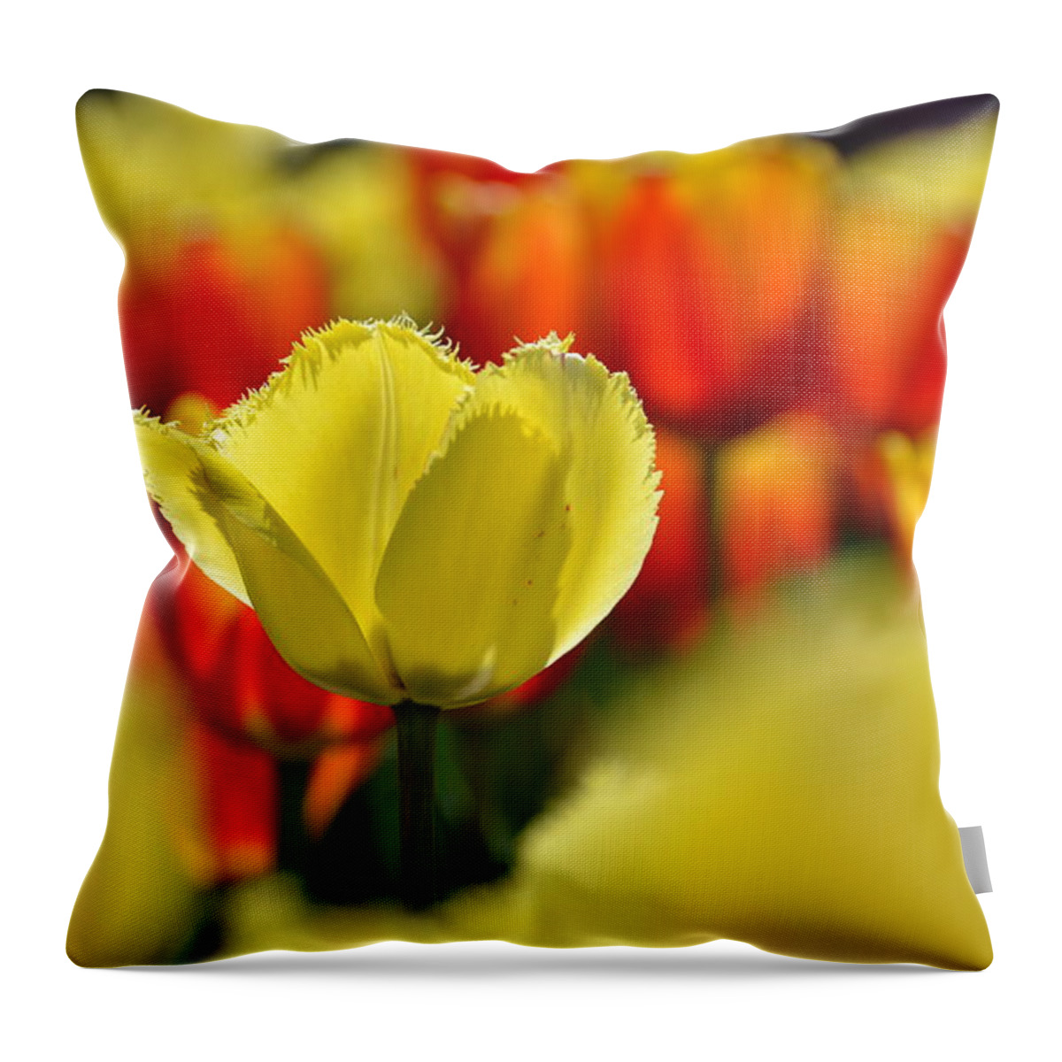 Tulips Throw Pillow featuring the photograph Center of Attention by Andrea Platt