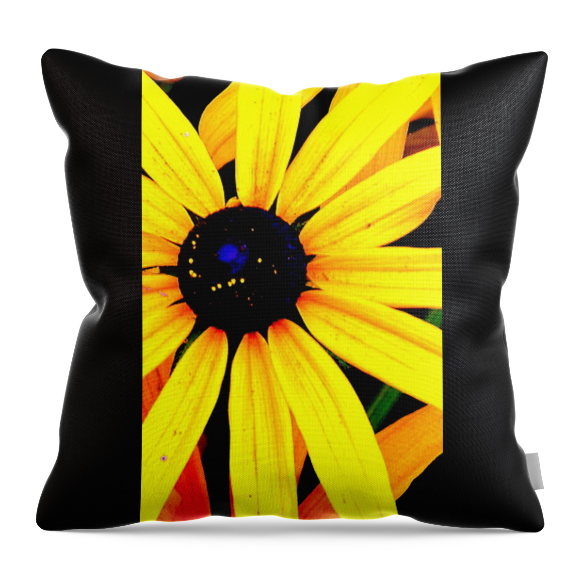 Daisys Throw Pillow featuring the photograph Center of Attention by Antonia Citrino