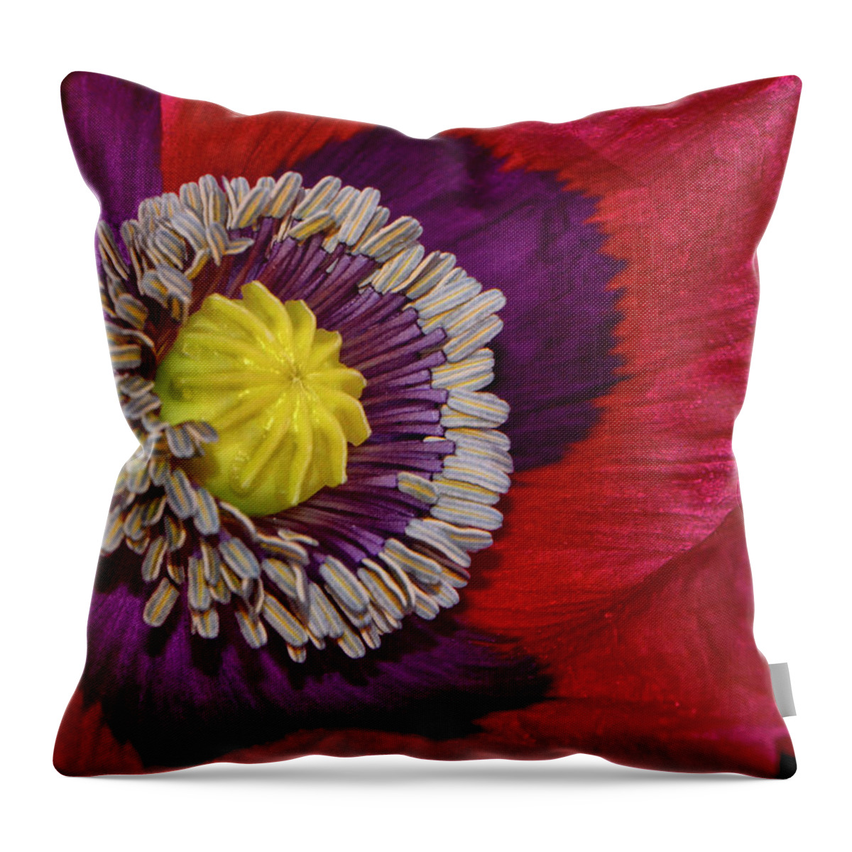 Macro Throw Pillow featuring the photograph Centerpiece - Poppy 041 by George Bostian