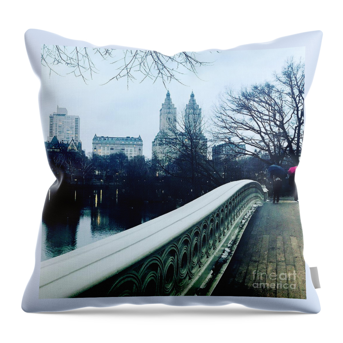 Central Park Throw Pillow featuring the photograph Central Park Drizzle by Beth Saffer