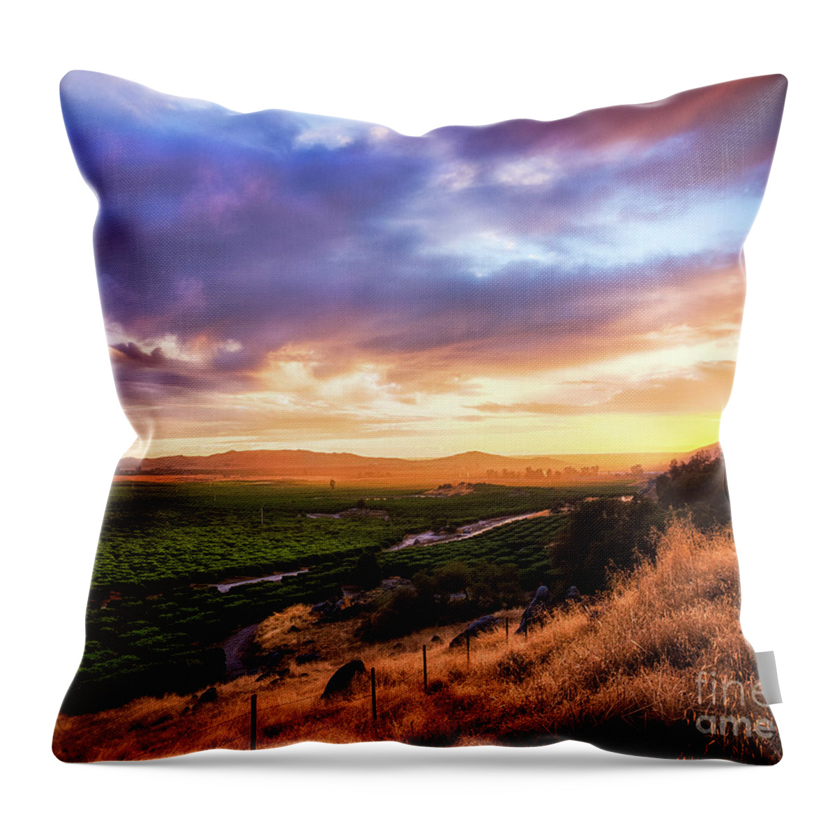 California Throw Pillow featuring the photograph Central Valley by Anthony Michael Bonafede