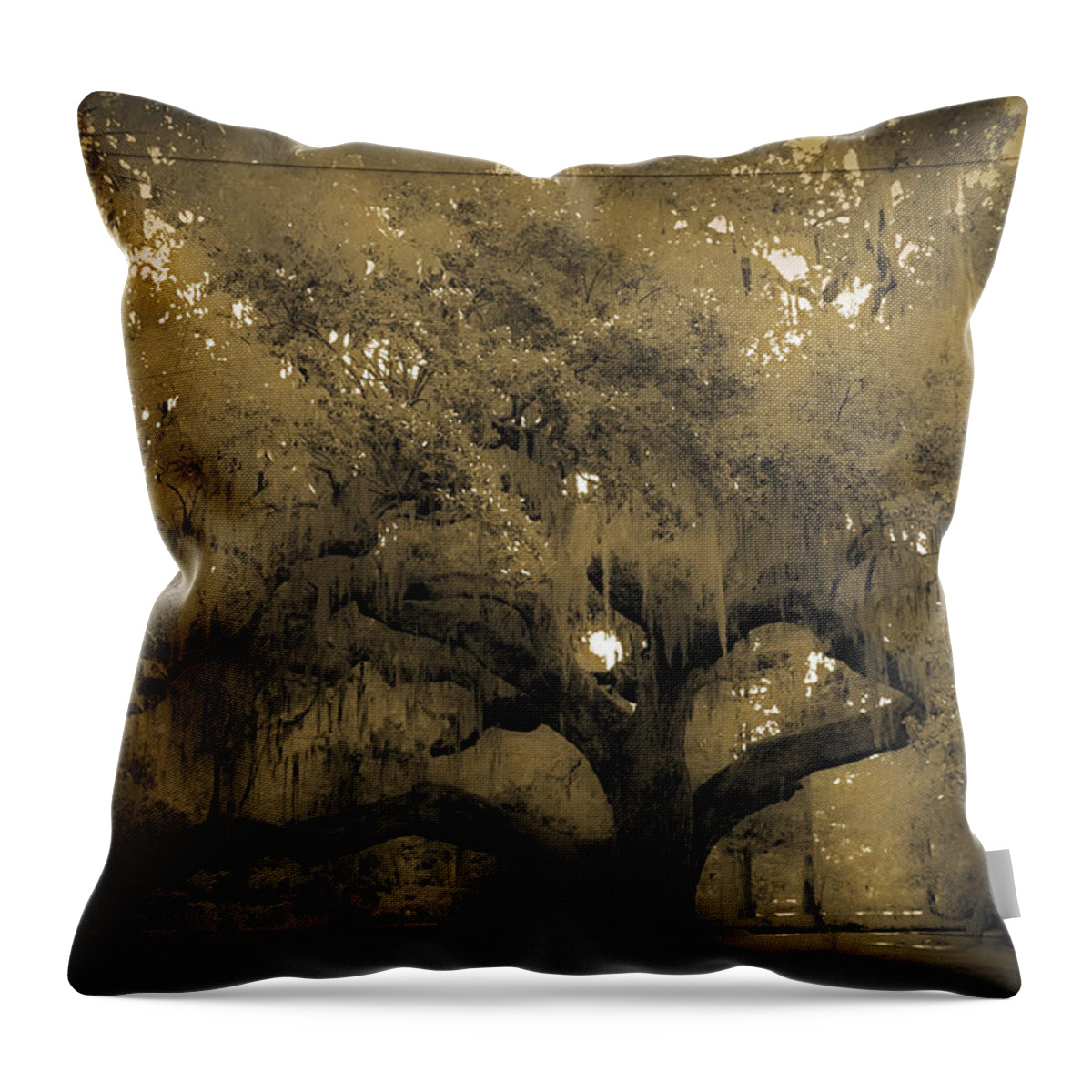 Live Oak Throw Pillow featuring the photograph Centurion Oak by DigiArt Diaries by Vicky B Fuller