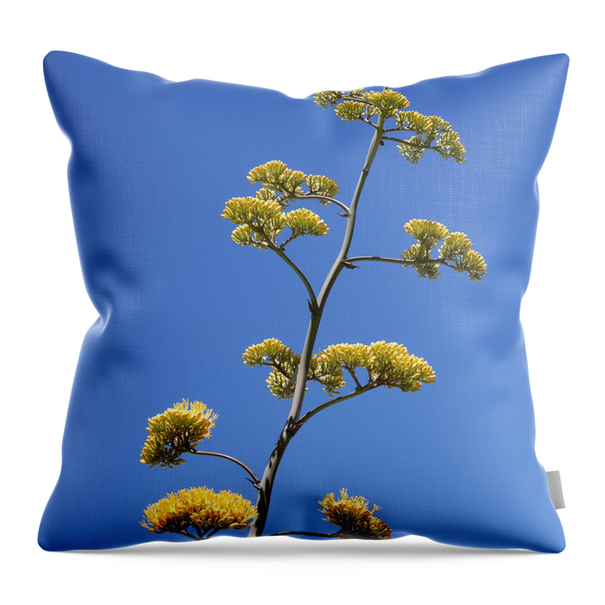 Century Plant Throw Pillow featuring the photograph Century Plant Flowers by Kelley King