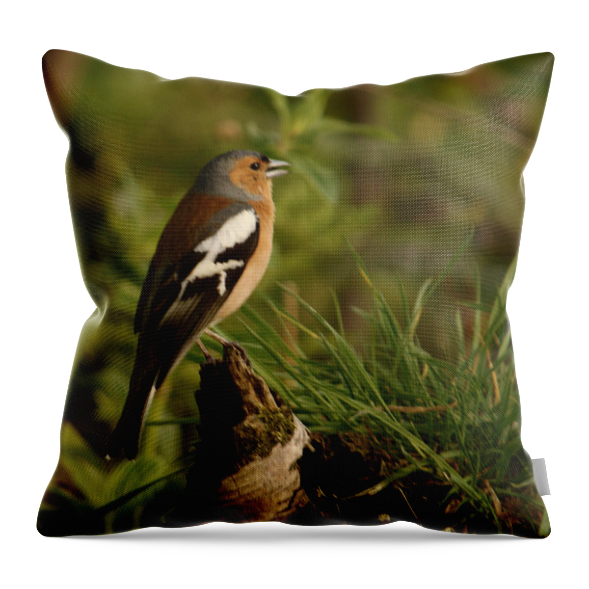 Birds Throw Pillow featuring the photograph Chaffinch On Stump by Adrian Wale