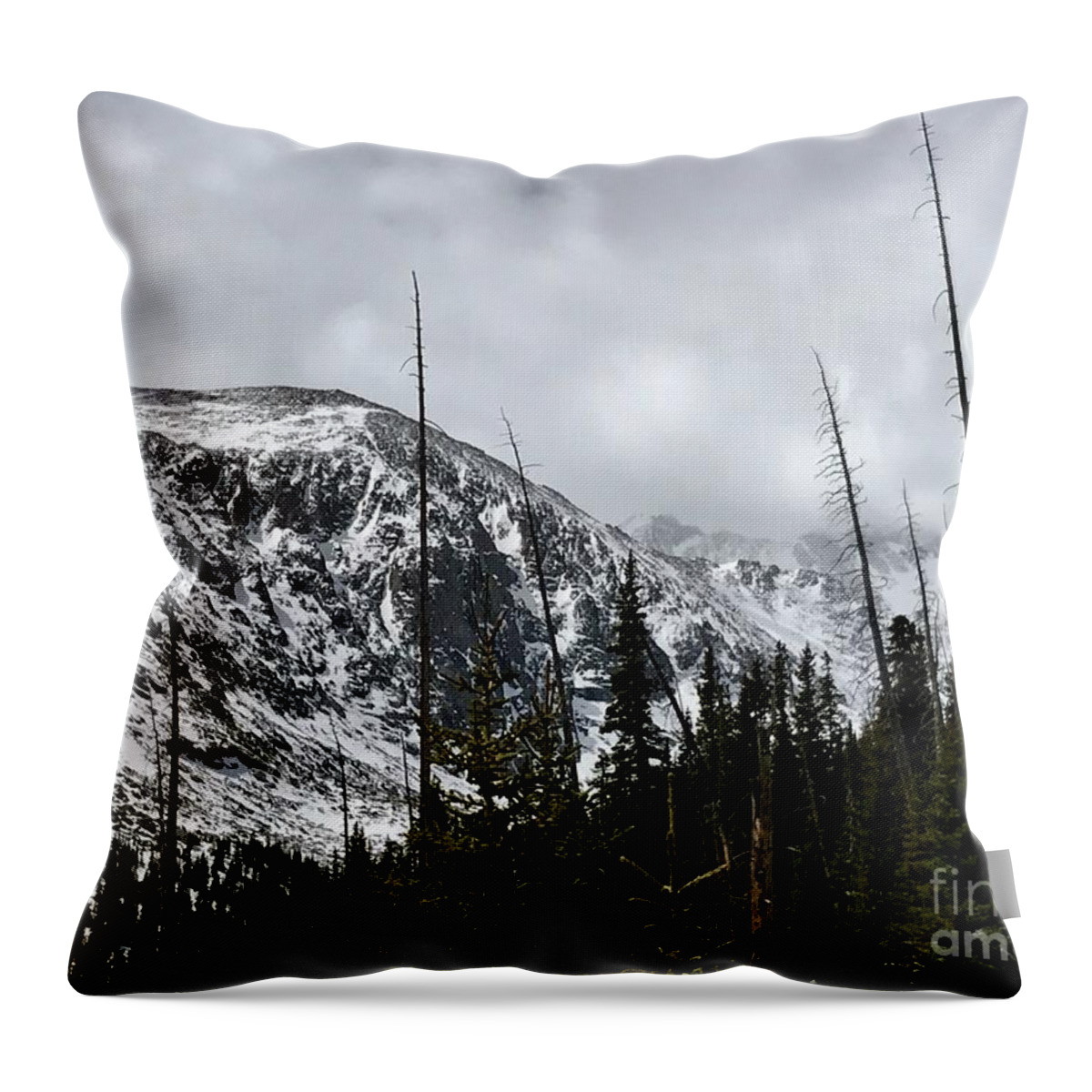 Mountain Hiking Throw Pillow featuring the photograph Challenge by Dennis Richardson